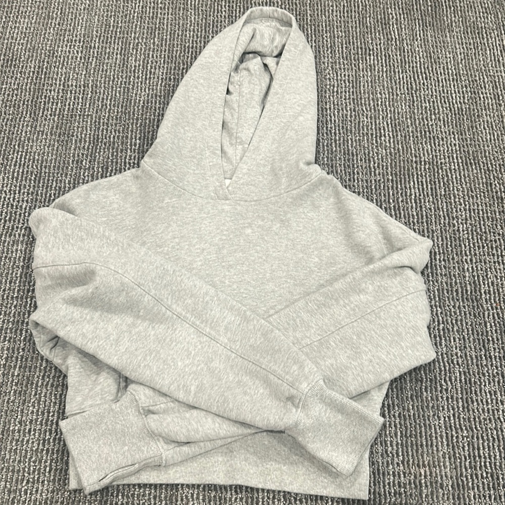 Grey cropped Aerie hooded sweatshirt